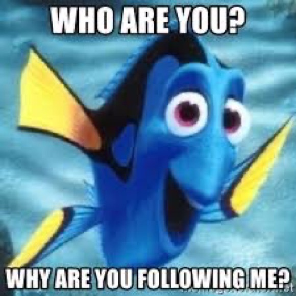 Live Show Notification - Or just stop by for some shares & hot cocoa ☕️ - Picture 7 of 15